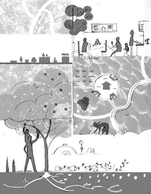 KDP2010。 KDP2010。