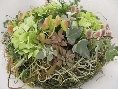 個展「オーテマウンテン」後半戦 個展「オーテマウンテン」後半戦