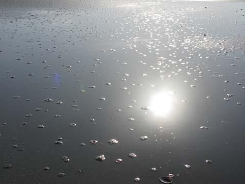 明日「デザイン百覧会」の搬入 明日「デザイン百覧会」の搬入