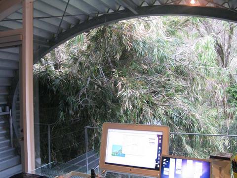 タイムトンネルのブリッジが倒木により封鎖される