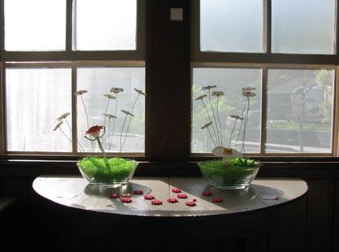 ポツリデペケリ@poturi ポツリデペケリ@poturi