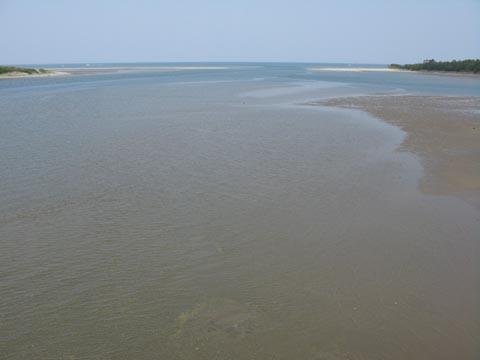 今度は潮干狩り 今度は潮干狩り