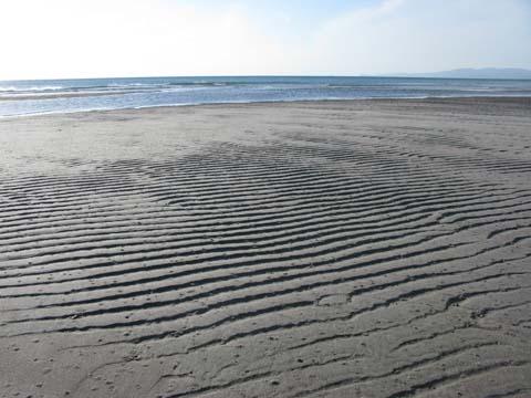 潮干狩り、再び