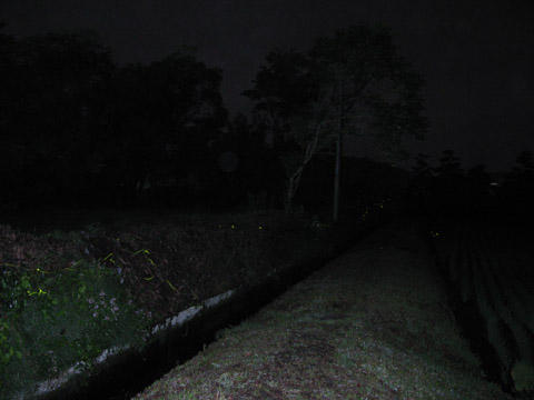 しかるべき時期に出会わないと道を誤る しかるべき時期に出会わないと道を誤る