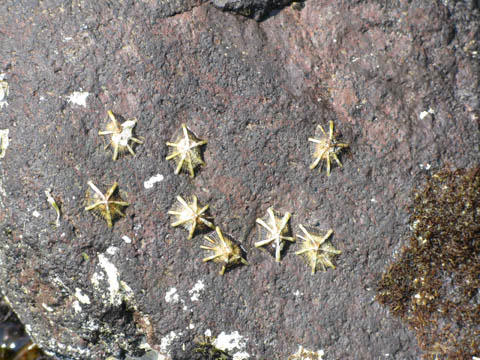 世の中の隙間に佇む人 世の中の隙間に佇む人