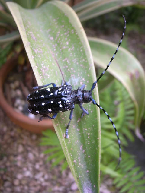 いろんな事がある いろんな事がある