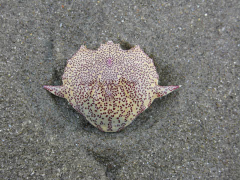 1966+44=2010 1966+44=2010