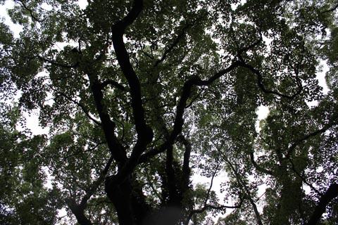 選挙結果に思うこと 選挙結果に思うこと