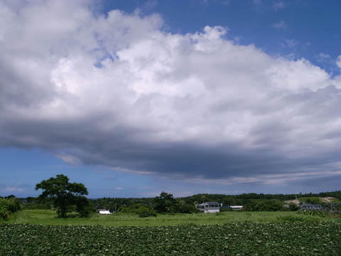 ルーカスフィルムとスタジオジブリとピクサー ルーカスフィルムとスタジオジブリとピクサー