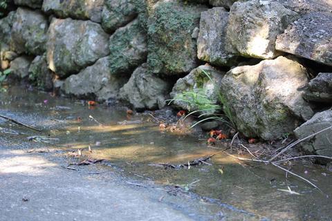 モデルケース的な一日 モデルケース的な一日