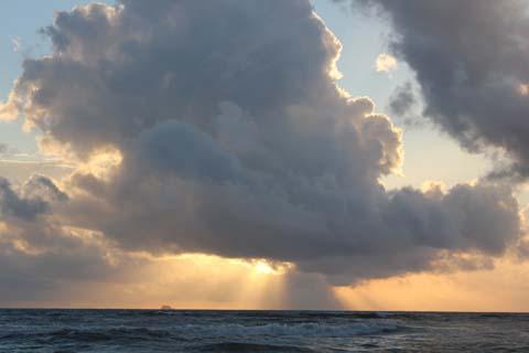 内なる衝動って? 内なる衝動って?