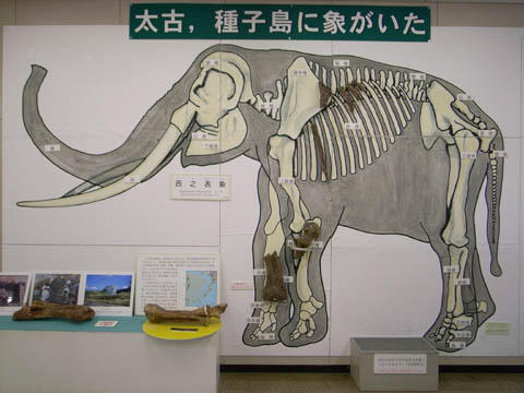 インターネット体験会@聚福園 インターネット体験会@聚福園