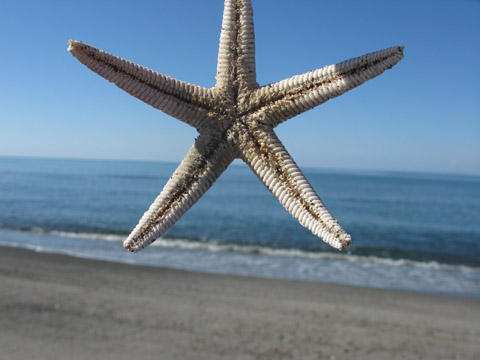 冬の吹上浜 冬の吹上浜