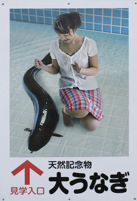 なんかイイ・・・