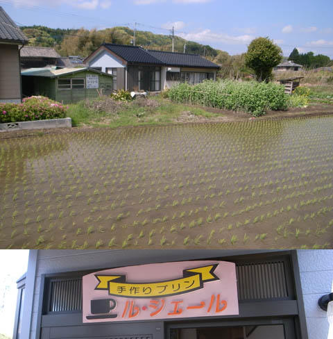 手作りプリンの店「ル・シェール」