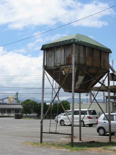 歩くといろんなものが見つかる