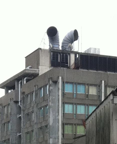 レトロフト近くのヤドカリ