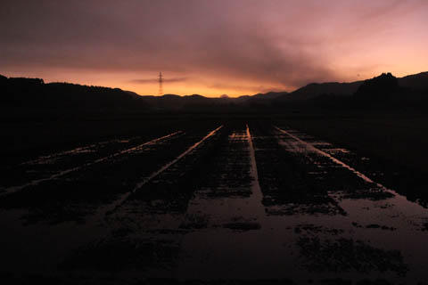 散歩で見る風景