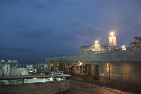 うみたまご うみたまご