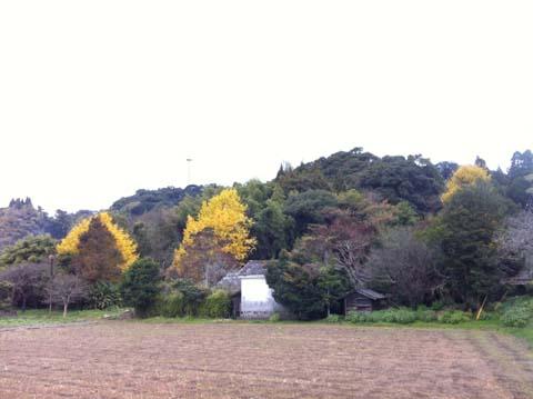 「む展」「ムサビ校友会」の忘年会 「む展」「ムサビ校友会」の忘年会