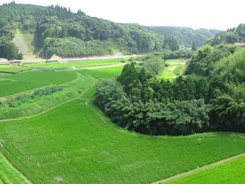 南日本新聞「南点」を振り返る(04) 南日本新聞「南点」を振り返る(04)