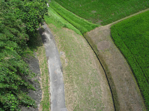 南日本新聞「南点」を振り返る(05) 南日本新聞「南点」を振り返る(05)