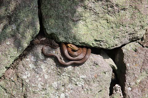 春ですね・・・