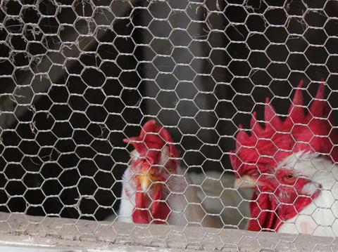 永吉中央自治会にて講演 永吉中央自治会にて講演