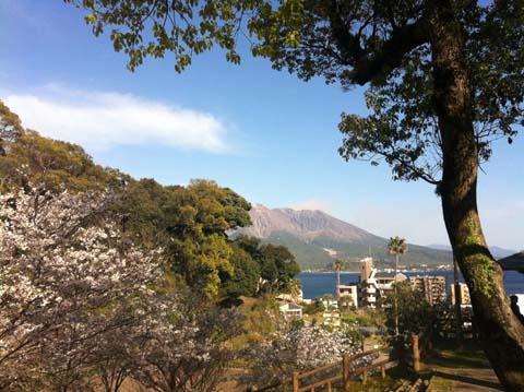 重機vs有機 重機vs有機