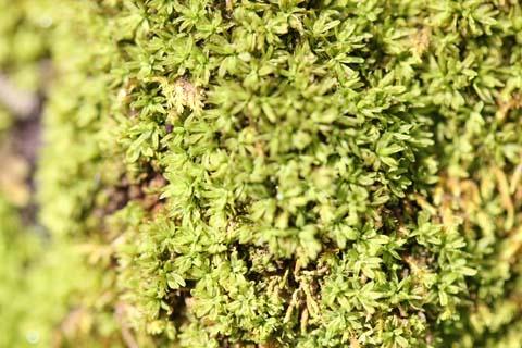 河野義行さんのスピーチ「票を入れるのは個人だ」