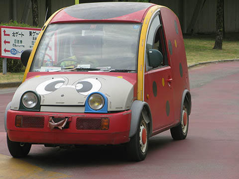 グリーンランド特集6