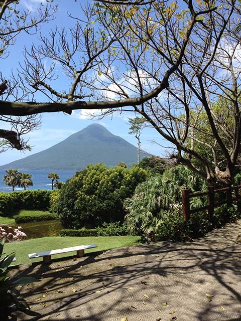 長崎鼻パーキングガーデン1 長崎鼻パーキングガーデン1