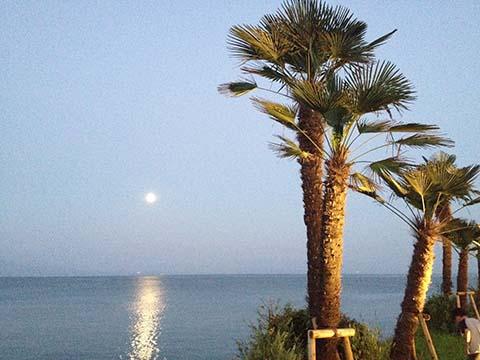 ハッピーポイント