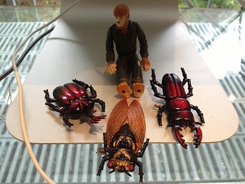 賢人たちからの贈り物・・・ 賢人たちからの贈り物・・・