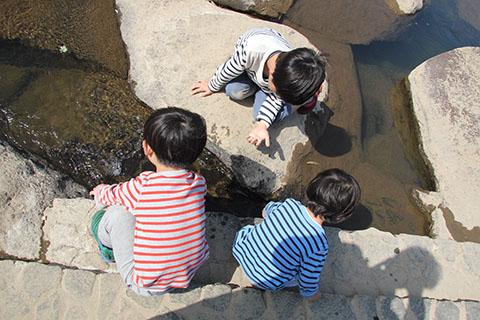 川遊びなど