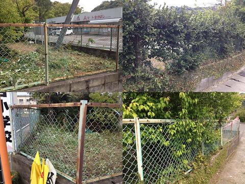 悲願の大掃除 悲願の大掃除