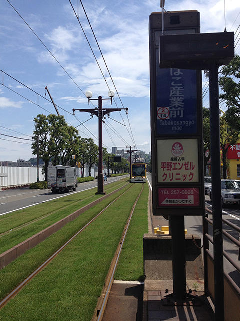 6月6日の風景。