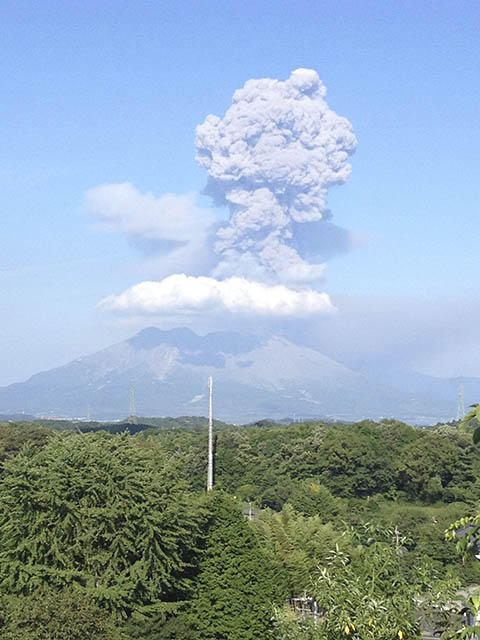 母の誕生日(前) 母の誕生日(前)