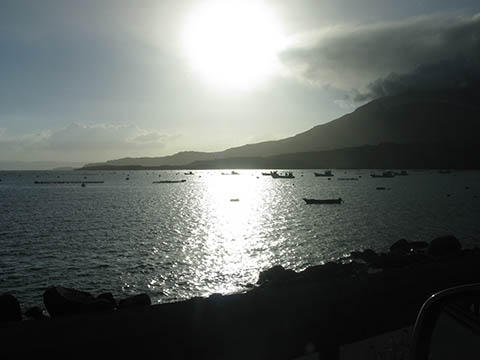 母の誕生日(後) 母の誕生日(後)