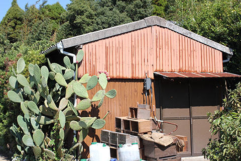 神之門養蜂場のひととき 神之門養蜂場のひととき
