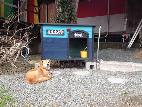 鹿児島犬警本部長にあいさつしてきました。