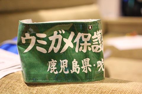 ウミガメパトロール ウミガメパトロール