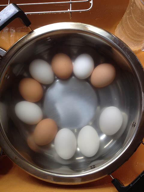 ジェダイナイト2 ジェダイナイト2