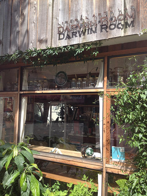 下北沢・DARWIN ROOM