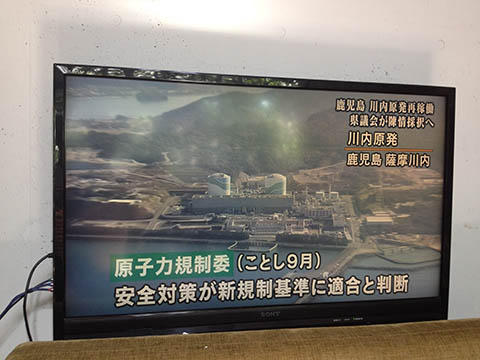 好奇心と行動