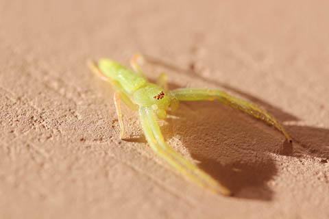 エピソード7 エピソード7