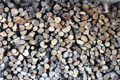 景気回復、この道しかないって? 景気回復、この道しかないって?