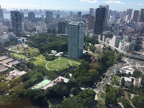 東京タワーから観る風景