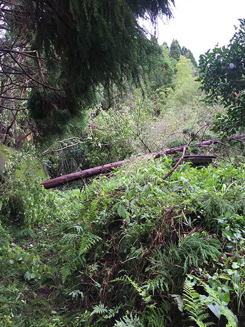 台風・忘備録