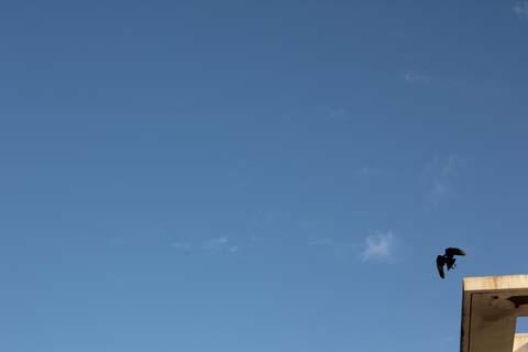 「BOOK at ME」に行ってきます! 「BOOK at ME」に行ってきます!